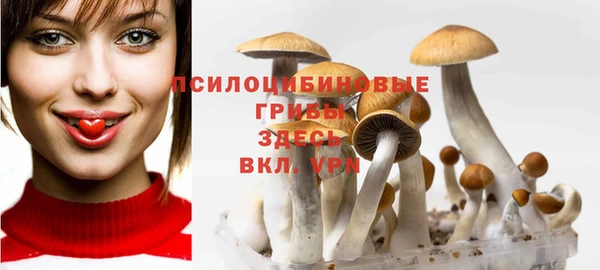 марки lsd Богородск
