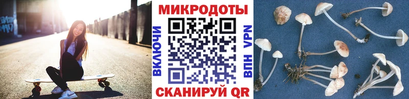 купить наркотики сайты  Сковородино  mega маркетплейс  Псилоцибиновые грибы прущие грибы 